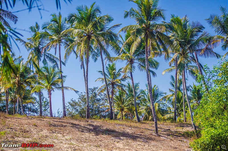 Goan Vacation-_dsc9879.jpg