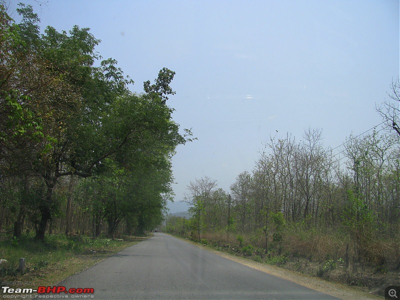 Chaukori - Pangot - Jim Corbett National Park trip in summer 09-img_2109.jpg