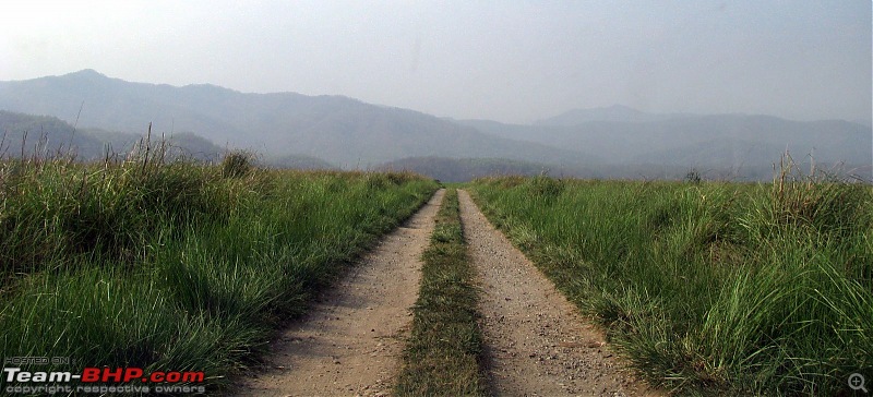 Chaukori - Pangot - Jim Corbett National Park trip in summer 09-img_2155.jpg