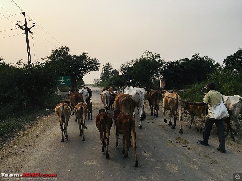 Coastline of Gujarat - Beaches, Temples, Villages, Lighthouses & Ports-img_4166.jpeg