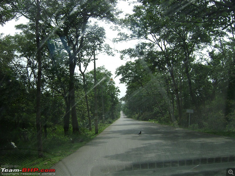 Srisailam beckons again!-dsc00562.jpg