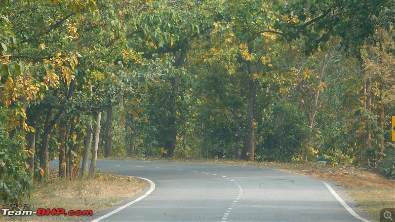 Patratu Valley & Mccluskieganj : On a weekend drive to Jharkhand (from Kolkata)-dscn5671.jpg