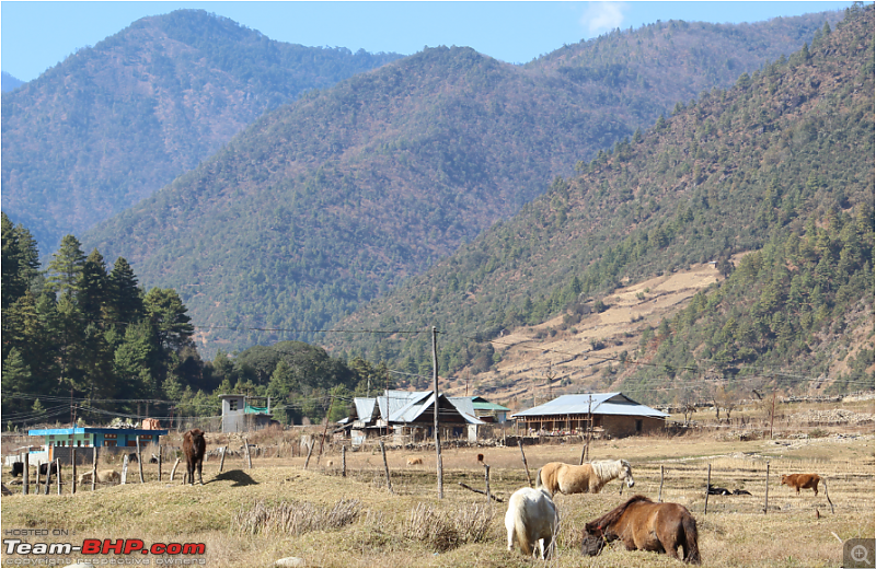 A road-trip to Tawang-ss29.png