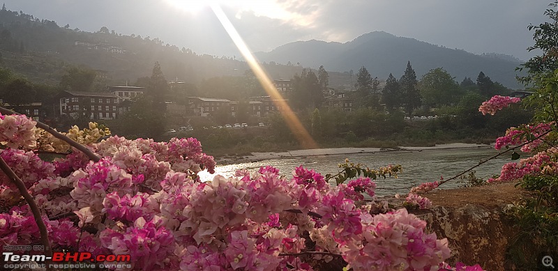 Journey to the only carbon negative country in the world, Bhutan-20190501_165431.jpg