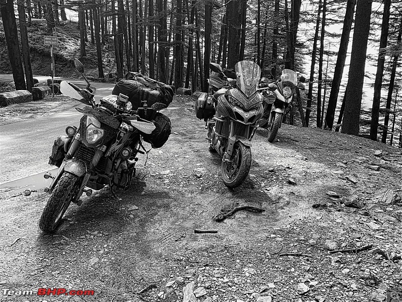 Beaky flies north  Spiti on a Suzuki V-Strom 650 XT-022.jpg