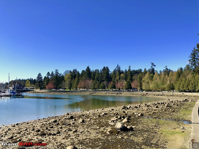 Around the world - Using my credit card points for flights!-10stanleypark.jpg