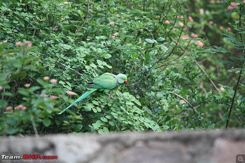 Srisailam beckons again!-img_3840.jpg