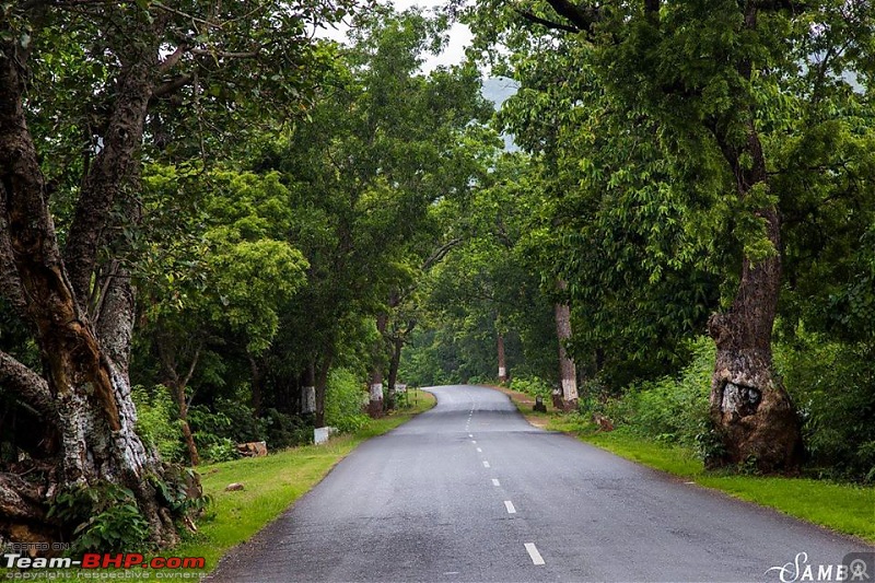 To the Forests of Eastern Odisha-19944227_1619034748168412_702079458289718441_o.jpg