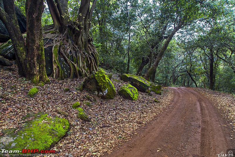 Monsoon weekend drive to Dalma Hills in a Ford Figo. EDIT: 2020 updates on Page 3-img_2024.jpg