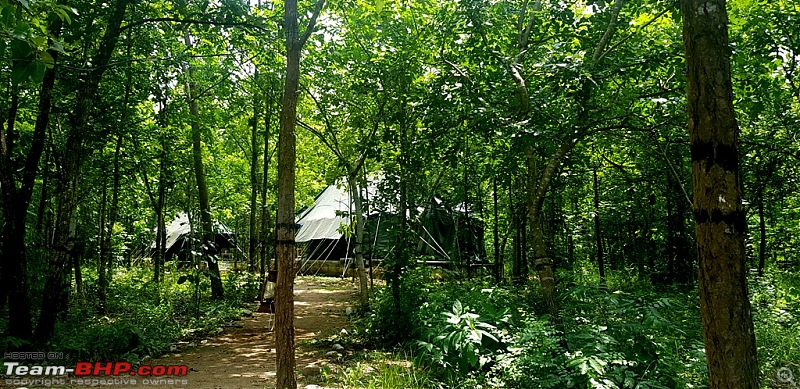 A giant squirrel & the tree house - Forests of Odisha-20190816_125929-copy.jpg