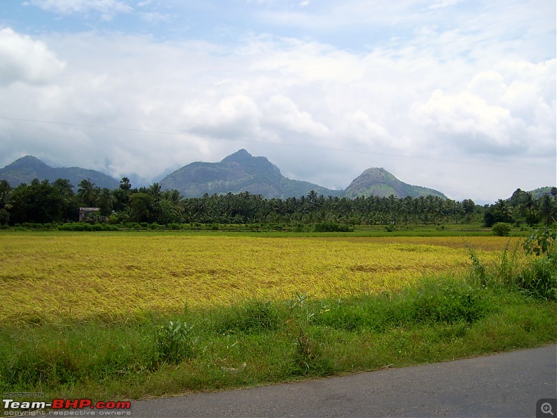 Bangalore-Palani-Guruvayoor in Swift Diesel-pic_0124.jpg