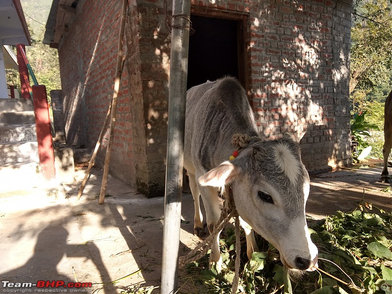 A walk along the Ganges to Gangotri and Gaumukh-img_20171016_155429652_hdr.jpg