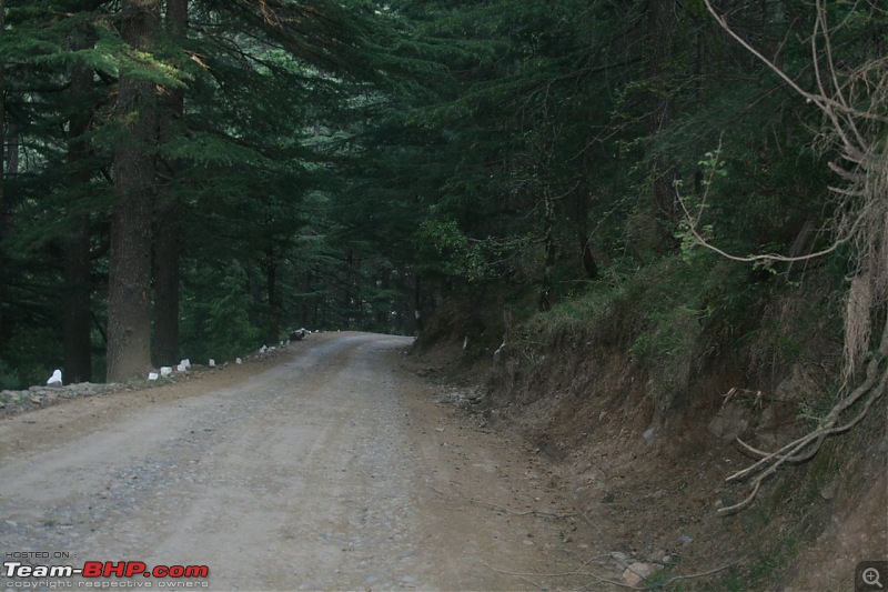 Bombay to Himachal & back - a long excursion-img_3938.jpg