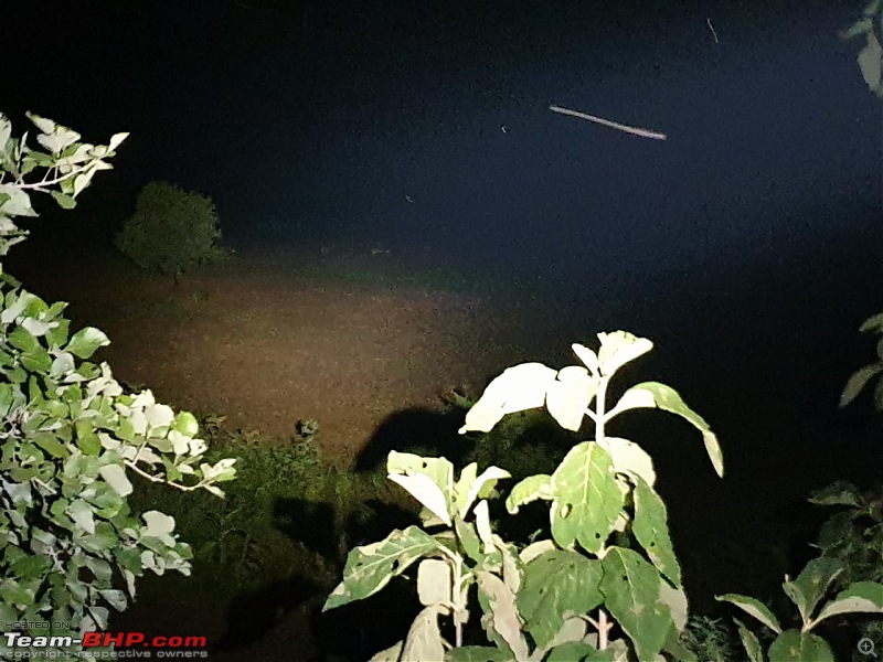 Our Wild Classroom - Panna Tiger Reserve-view-machan.jpeg