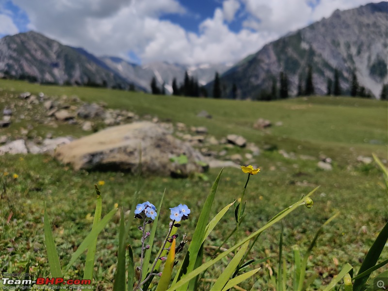 Kashmir Great Lakes Trek - My 1st raw experience in the mighty Himalayas-20.jpg