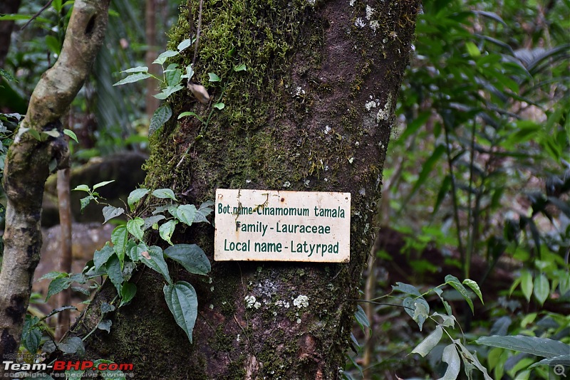 Zoom'd to Meghalaya - The abode of the clouds-dsc_0662.jpg