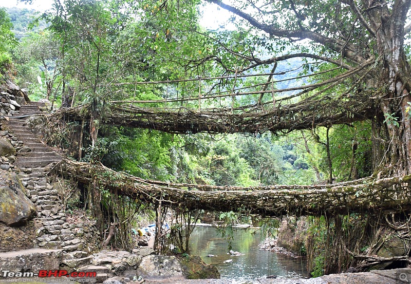 Zoom'd to Meghalaya - The abode of the clouds-dsc_0715.jpg