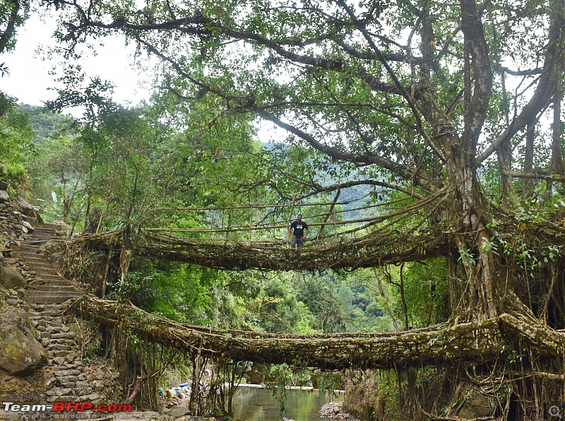 Zoom'd to Meghalaya - The abode of the clouds-dsc_0728.jpg