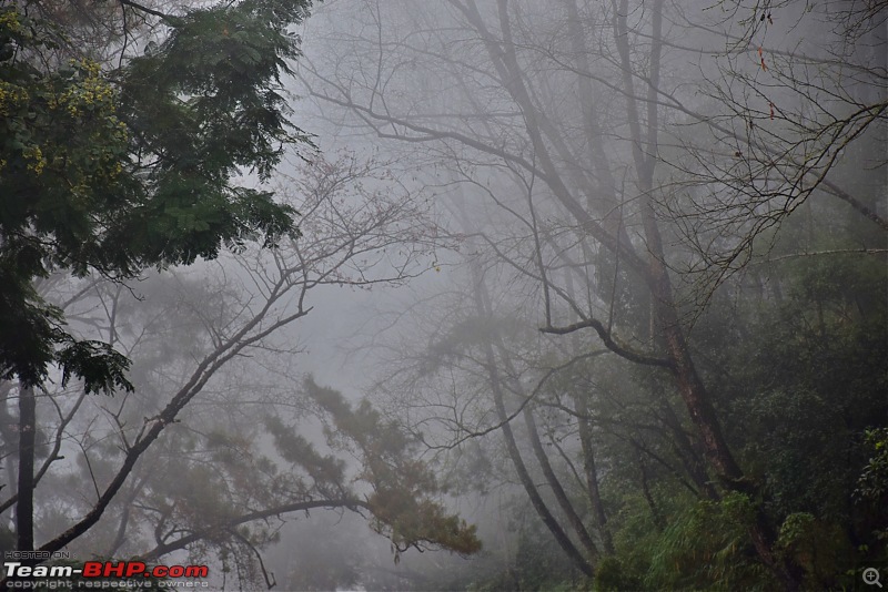 Zoom'd to Meghalaya - The abode of the clouds-dsc_0878.jpg