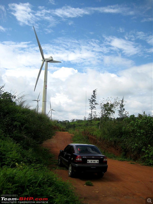 Ramakkalmedu - A Walk in the Clouds along with a tree house visit-img_6147.jpg