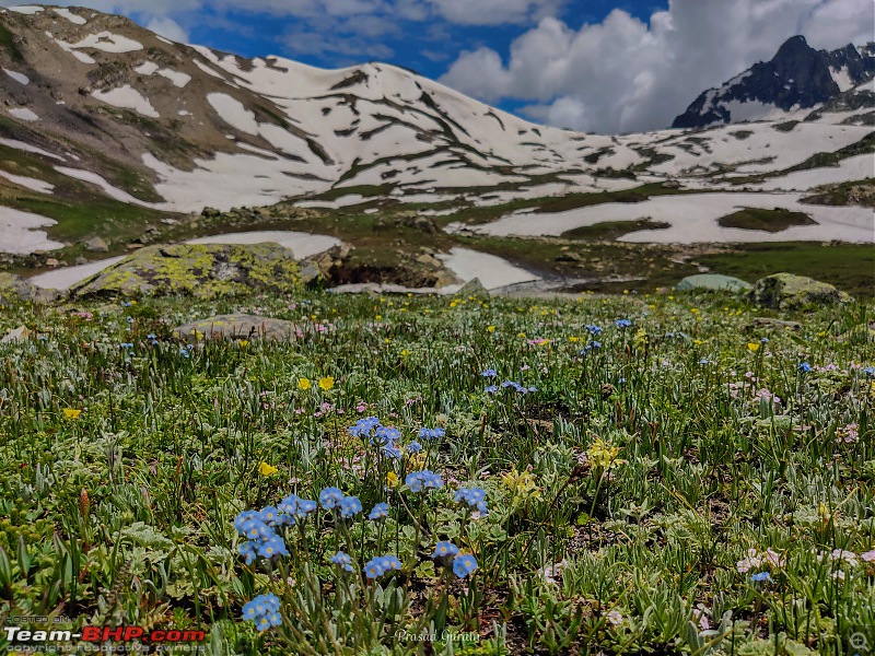 Kashmir Great Lakes Trek - My 1st raw experience in the mighty Himalayas-7min.jpg