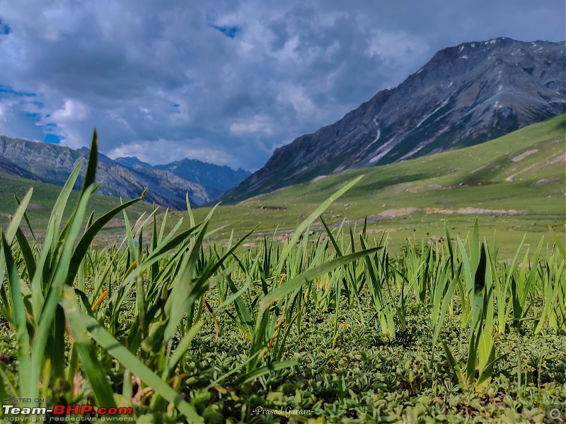 Kashmir Great Lakes Trek - My 1st raw experience in the mighty Himalayas-22-flat-trailmin.jpg