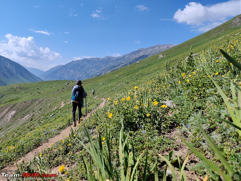 Kashmir Great Lakes Trek - My 1st raw experience in the mighty Himalayas-21.jpg