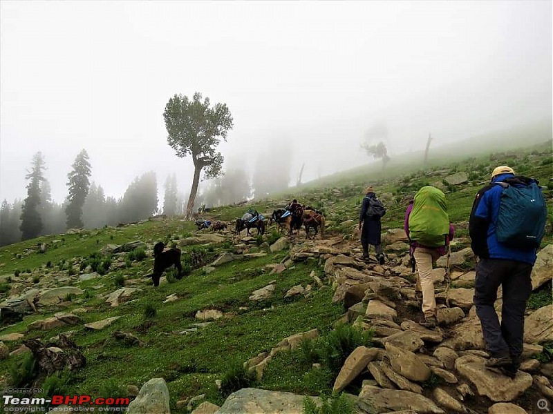 Kashmir Great Lakes Trek - My 1st raw experience in the mighty Himalayas-6-small-climb-post-checkpost.jpg