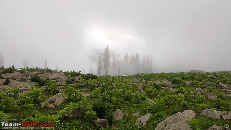Kashmir Great Lakes Trek - My 1st raw experience in the mighty Himalayas-8min.jpg
