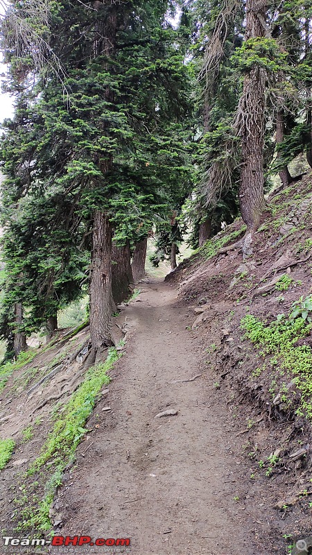 Kashmir Great Lakes Trek - My 1st raw experience in the mighty Himalayas-12.jpg
