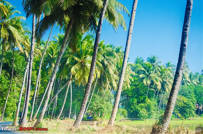 Goan Vacation-_dsc9961.jpg