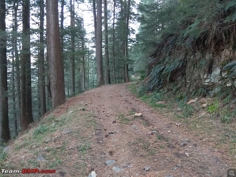 Gurugram - Chakrata - Deoban-pic-14.jpg
