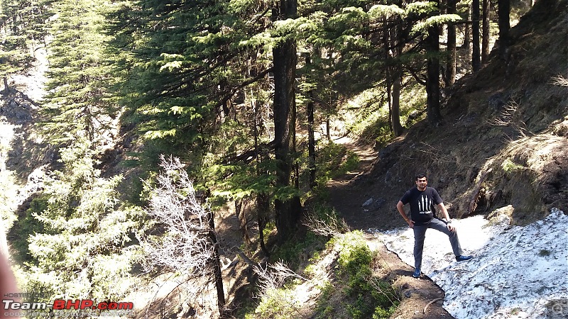 Gurugram - Chakrata - Deoban-pic-30.jpg