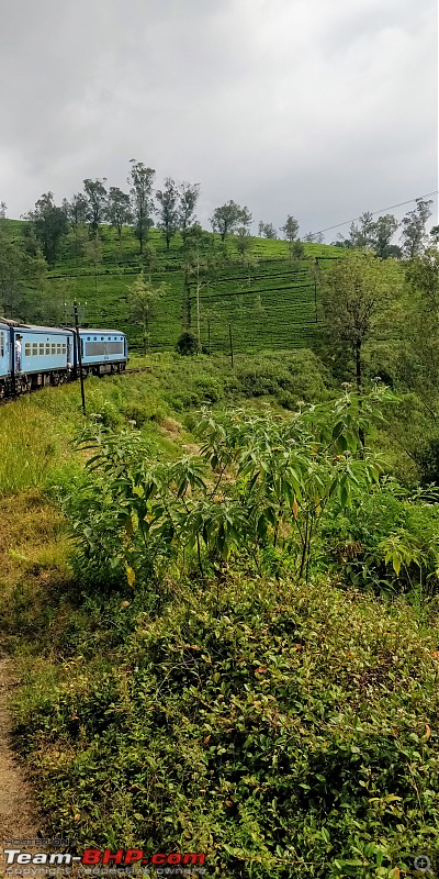 Backpacking through Sri Lanka-train3.jpg