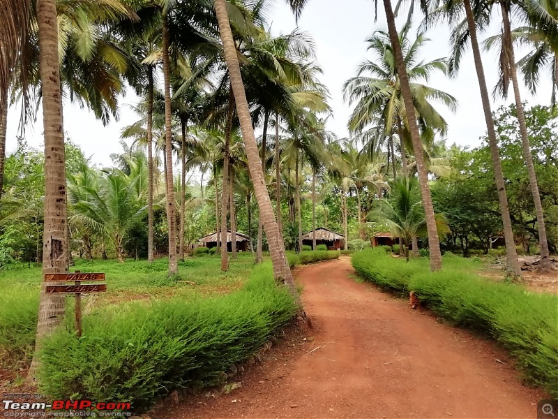 Goan Vacation-img_20190529_094612.jpg
