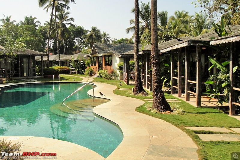 Goan Vacation-dsc04234.jpg