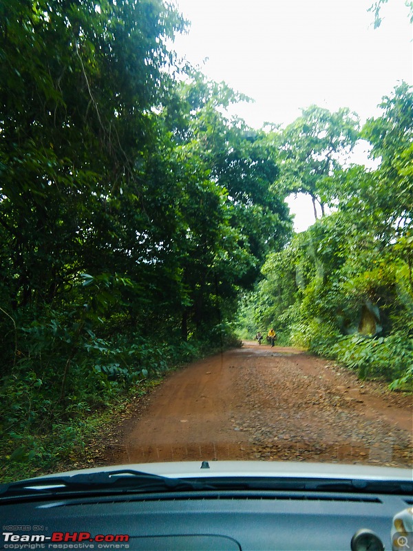 Road-trip to Odisha - A 2200 km drive-simli-jungle-road.jpg