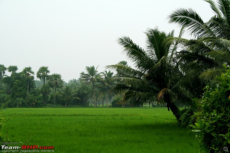 A weekend drive to Konaseema-img_3205.jpg