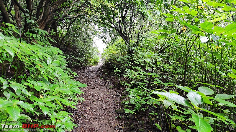 Andharban: A Dark Forest Nature Trailwalk-46min.jpg