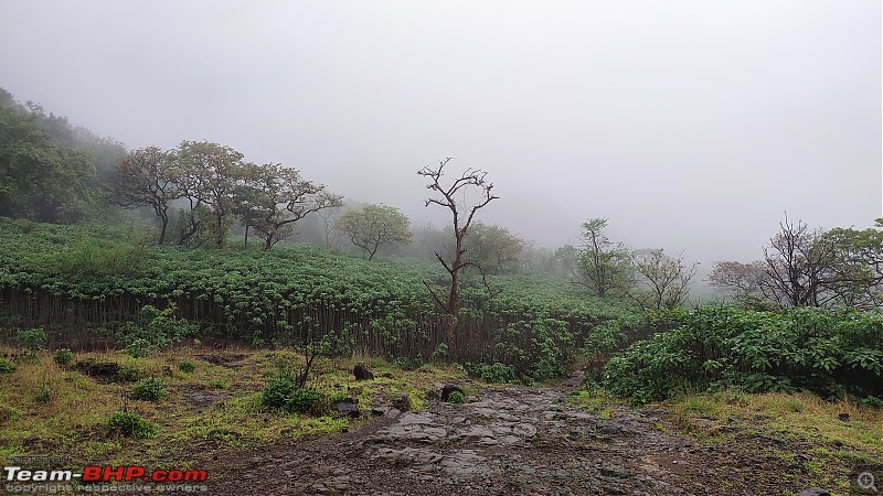 Andharban: A Dark Forest Nature Trailwalk-62.jpg