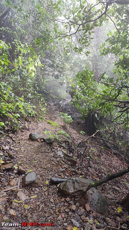 Andharban: A Dark Forest Nature Trailwalk-68min.jpg