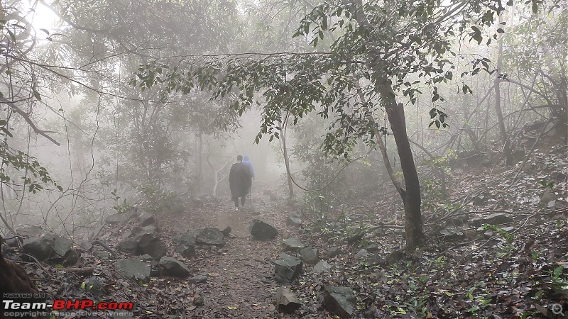 Andharban: A Dark Forest Nature Trailwalk-83min.jpg