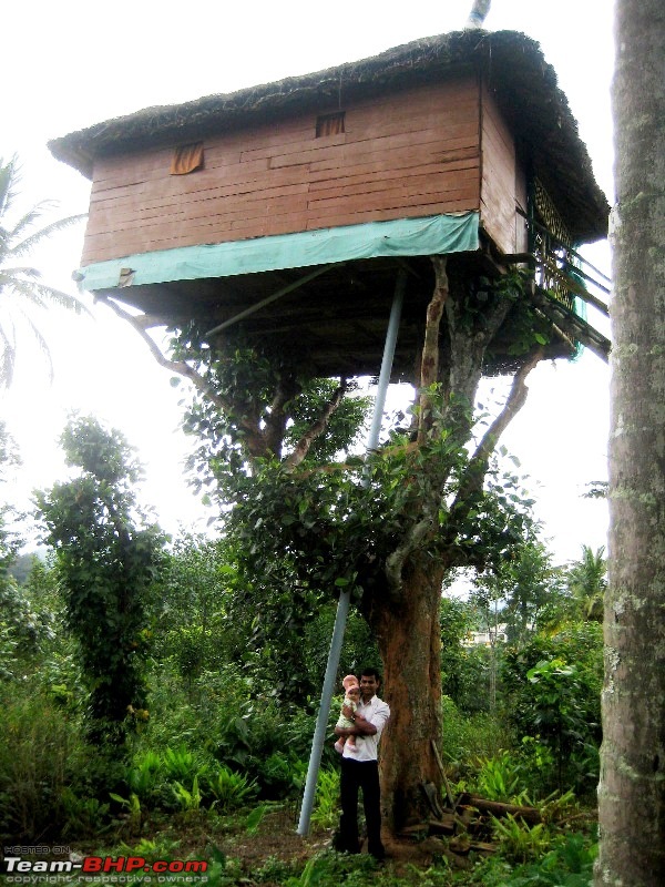 Ramakkalmedu - A Walk in the Clouds along with a tree house visit-2.jpg