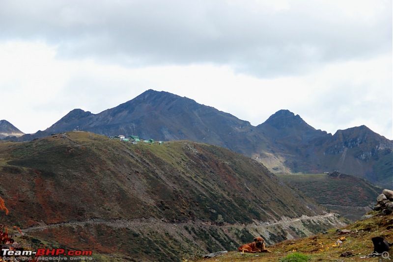 Photoblog: Calcutta to Ita Fort and Tawang-img_4356-compressed.jpg