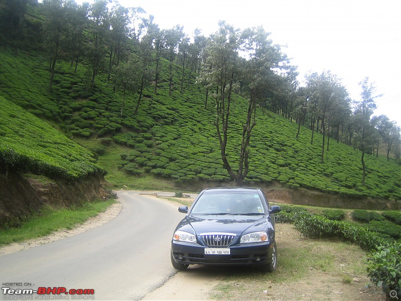 Bangalore  Munnar /Thekkady /Kochi in Swift D..-munnar090928-012.jpg