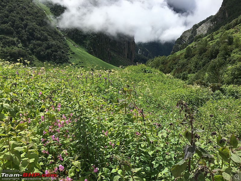 To the Valley of Flowers-img_8068.jpg