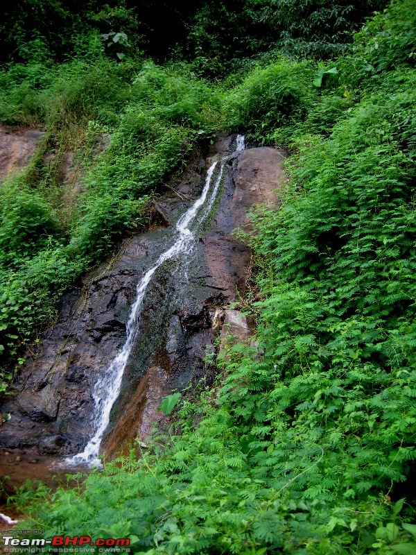 Ramakkalmedu - A Walk in the Clouds along with a tree house visit-8.jpg