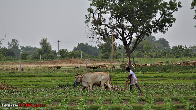 A Nature's Trail in Hampi-img_4406.jpg