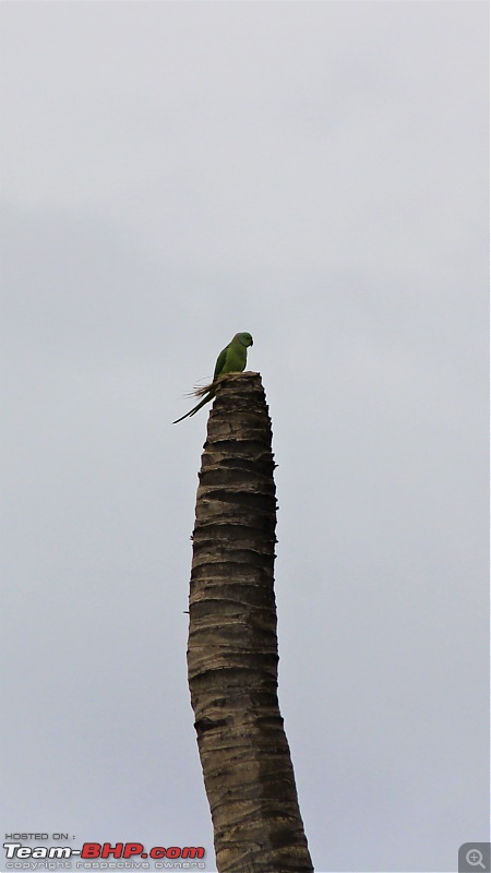 A Nature's Trail in Hampi-img_4565.jpg