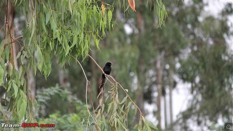 A Nature's Trail in Hampi-img_4628.jpg